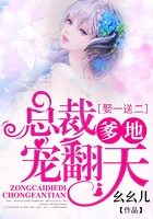 娶一送二，总裁爹地宠翻天