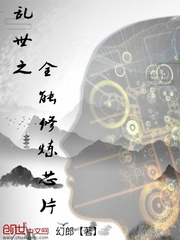 乱世之全能修炼芯片